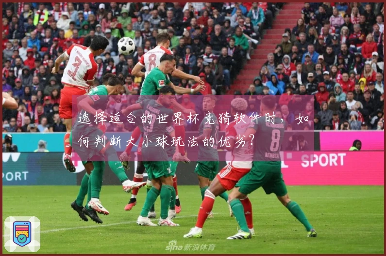 选择适合的世界杯竞猜软件时,如何判断大小球玩法的优劣?