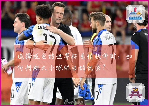 选择适合的世界杯竞猜软件时，如何判断大小球玩法的优劣？