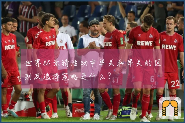 世界杯竞猜活动中单关和串关的区别及选择策略是什么?