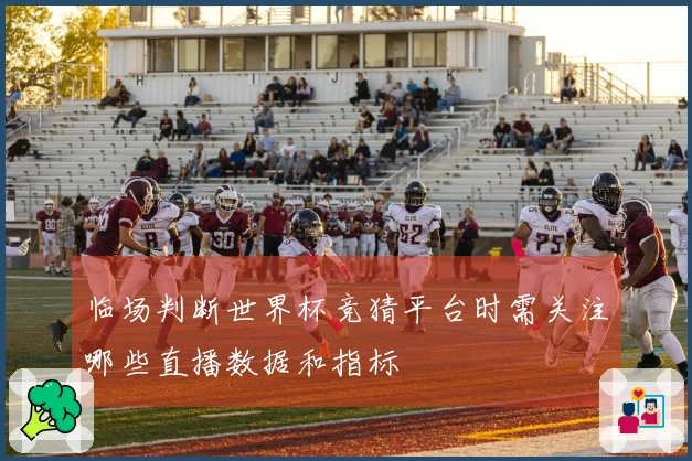 临场判断世界杯竞猜平台时需关注哪些直播数据和指标